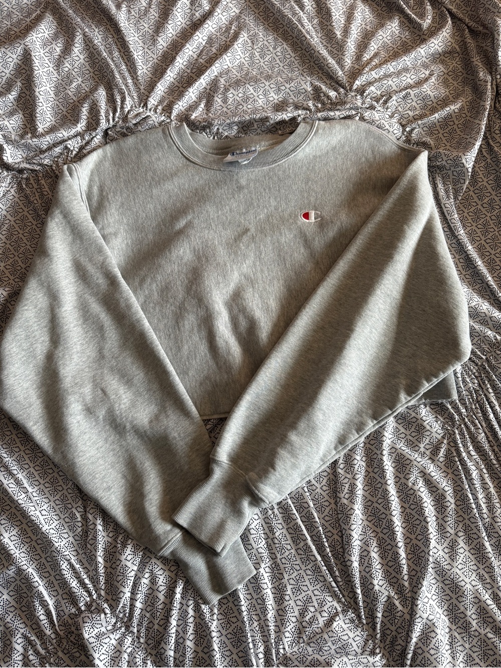 Champion Cropped Crewneck